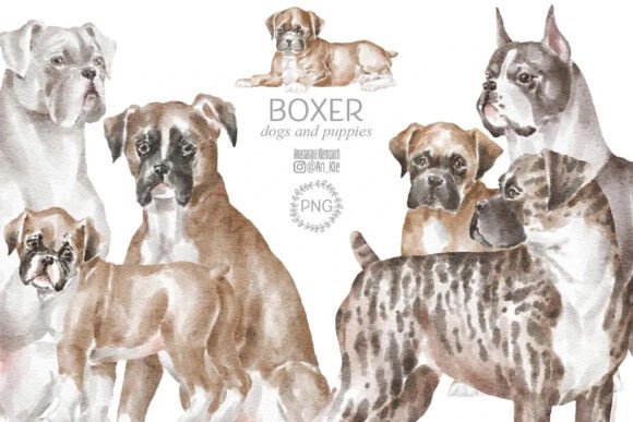 Download Boxer Dogs - Boxer Collection