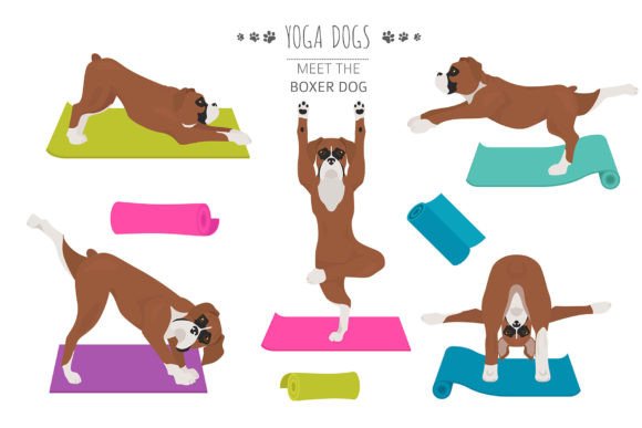 Download Boxer Dog Yoga - Boxer Collection